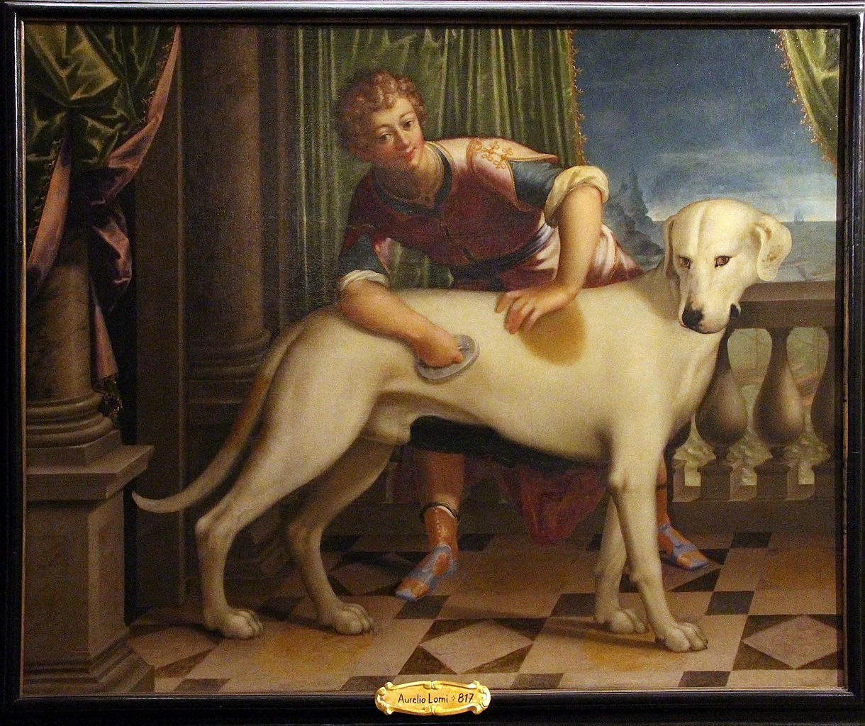 Aurelio Lomi - Il cane Roldano, Villa del Principe (Genova)